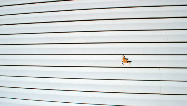 Siding for New Construction in Nuevo, CA